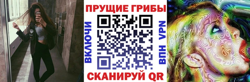 Псилоцибиновые грибы Psilocybe  Купить где  Топки 